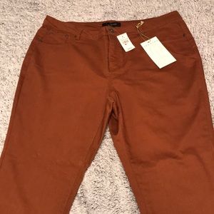 Ashley Stewart Womens Plus Size 20 Jegging In Rust